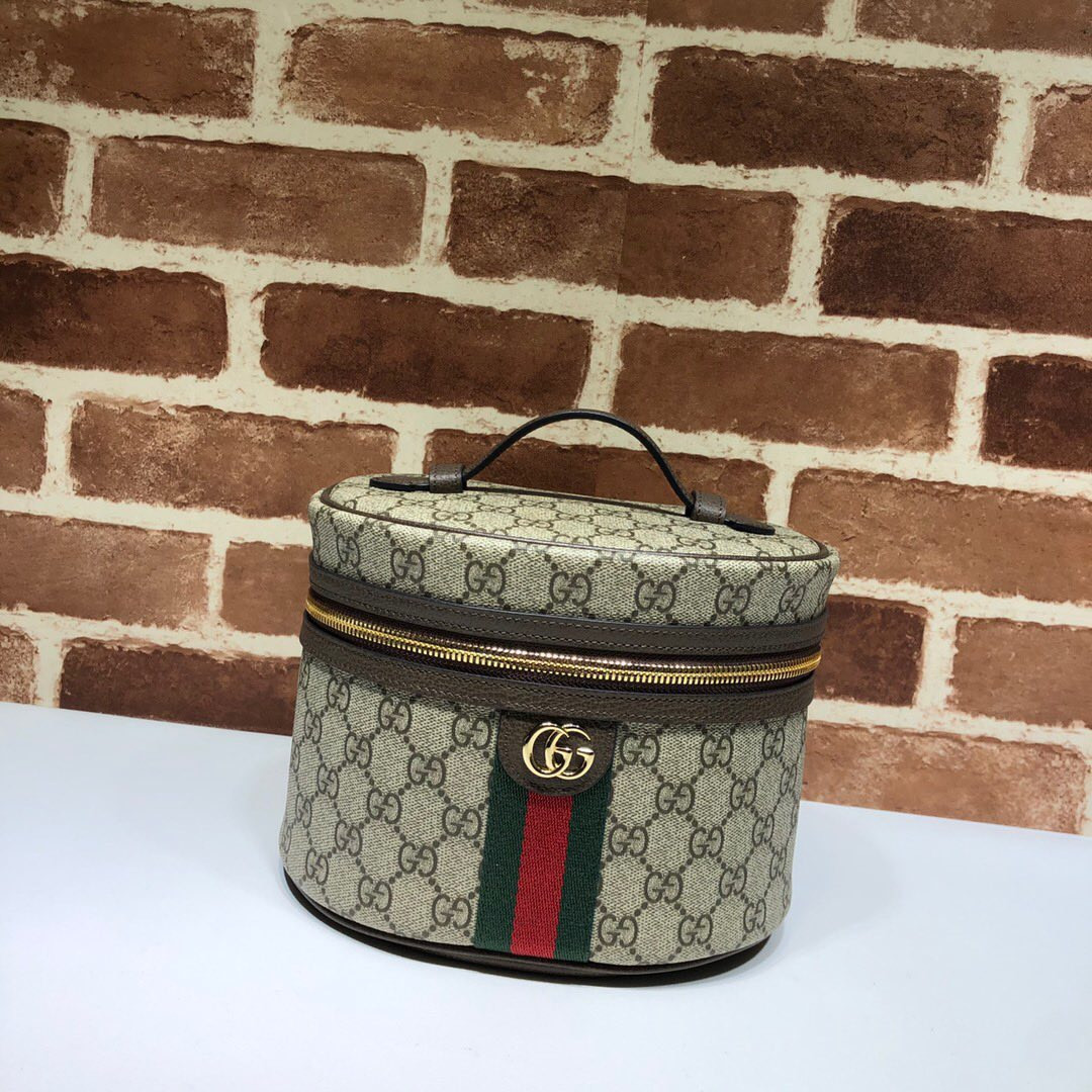 G*u*i cosmetic bag
